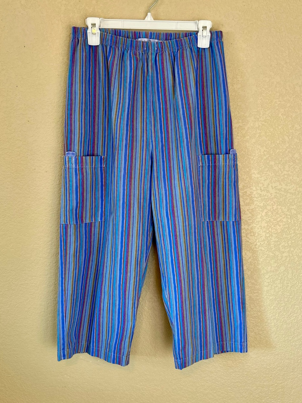 Fresh Produce Blue Multi-Stripe Casual Cargo Pull-On Pants Size L Lightweight